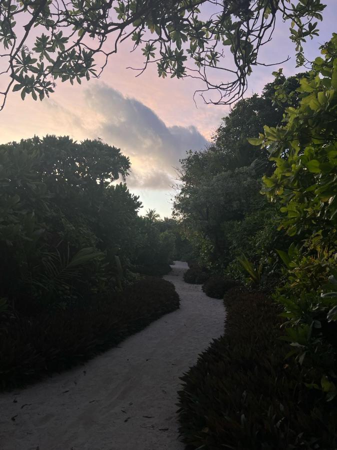 Lagoon Villa Maldives Thoddoo Exteriér fotografie