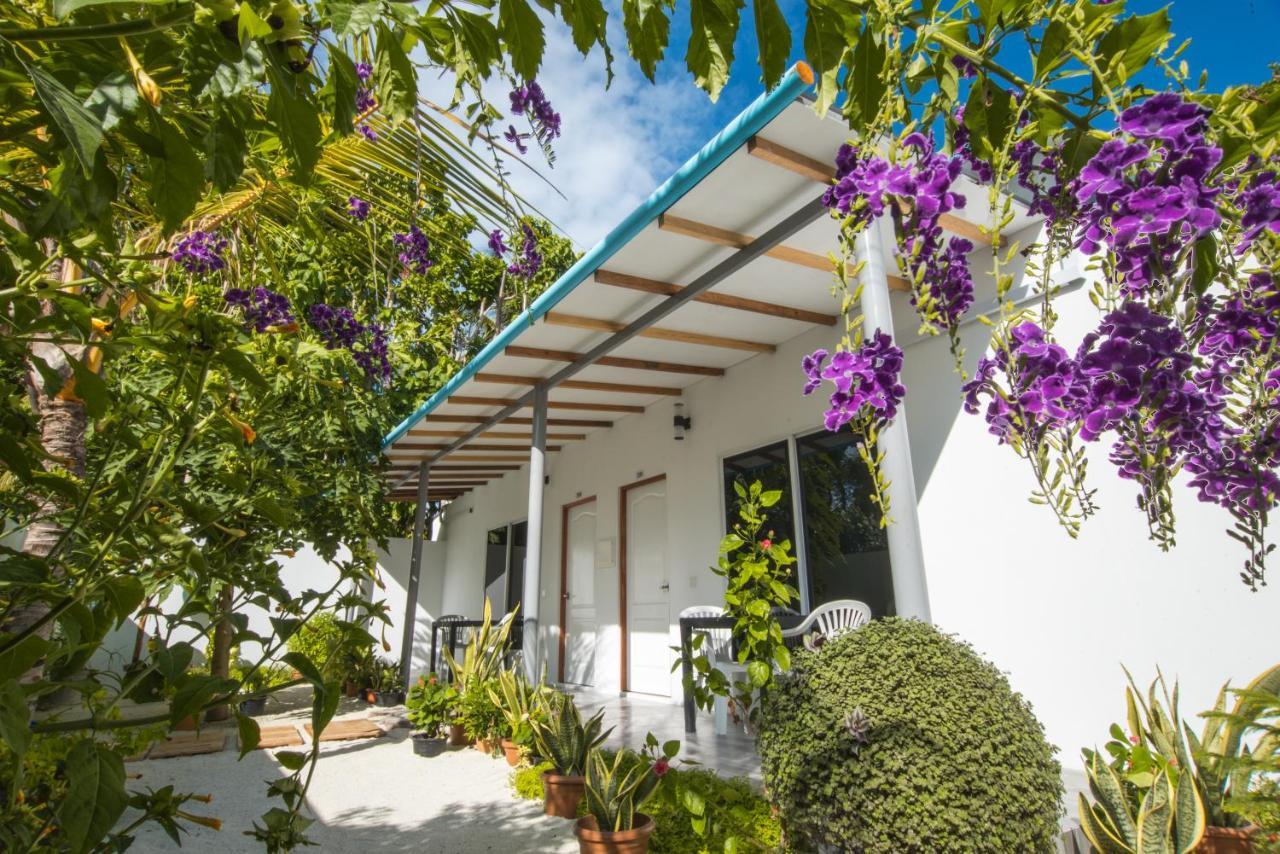 Lagoon Villa Maldives Thoddoo Exteriér fotografie