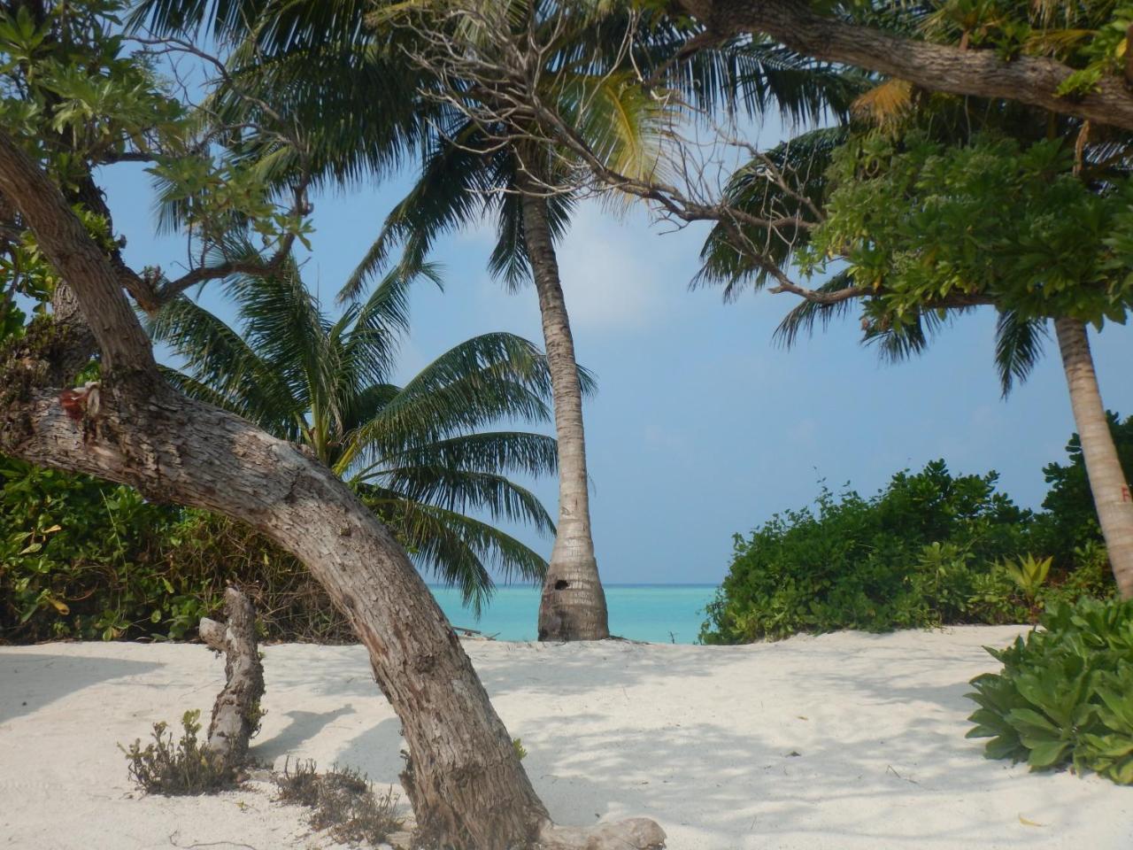 Lagoon Villa Maldives Thoddoo Exteriér fotografie
